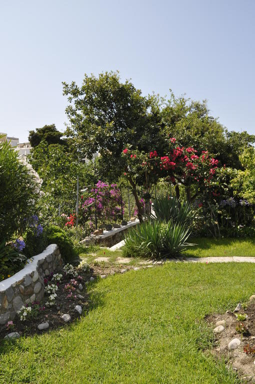 Bed & Breakfast Il Mediterraneo Ponza
